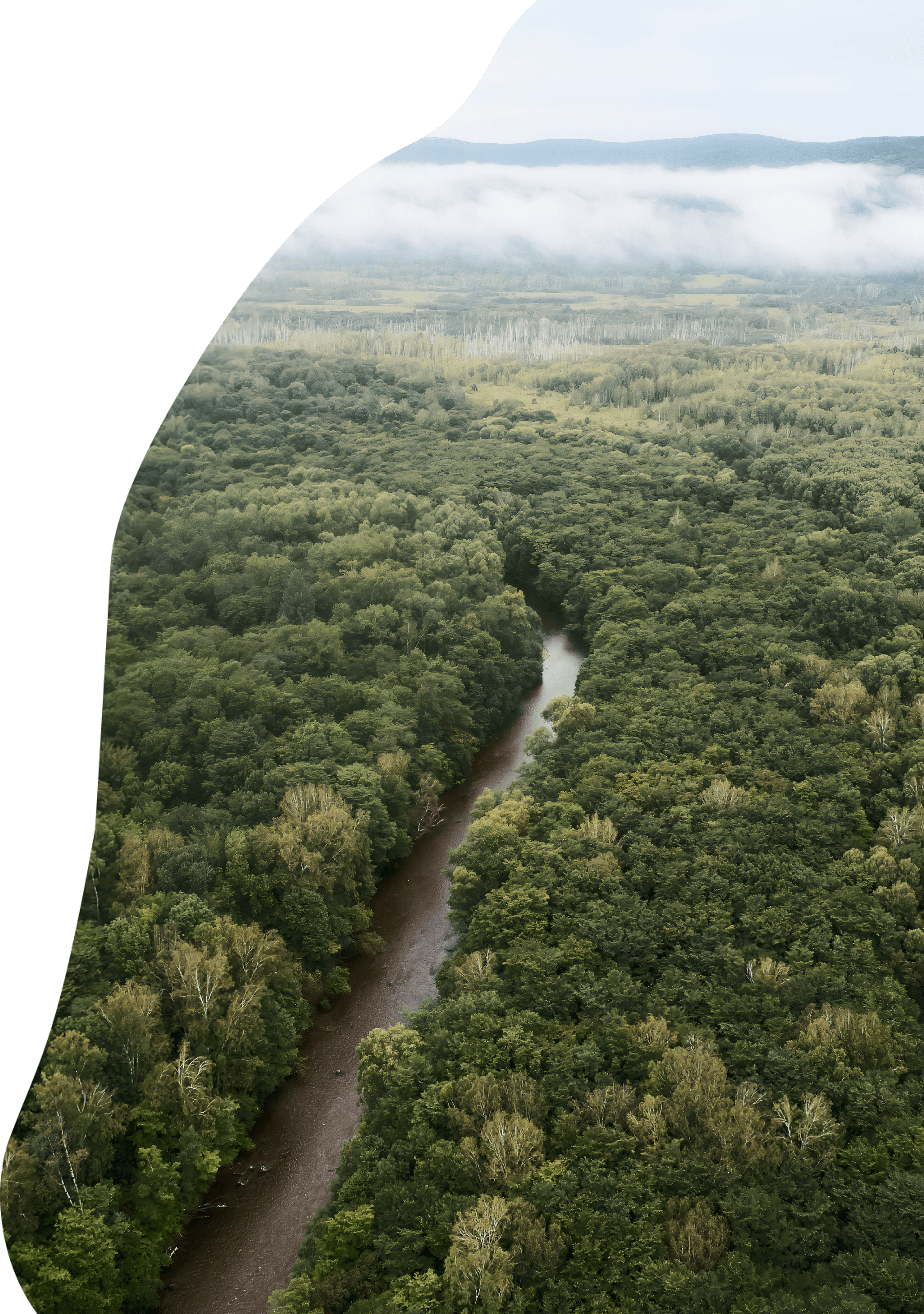 Происхождение