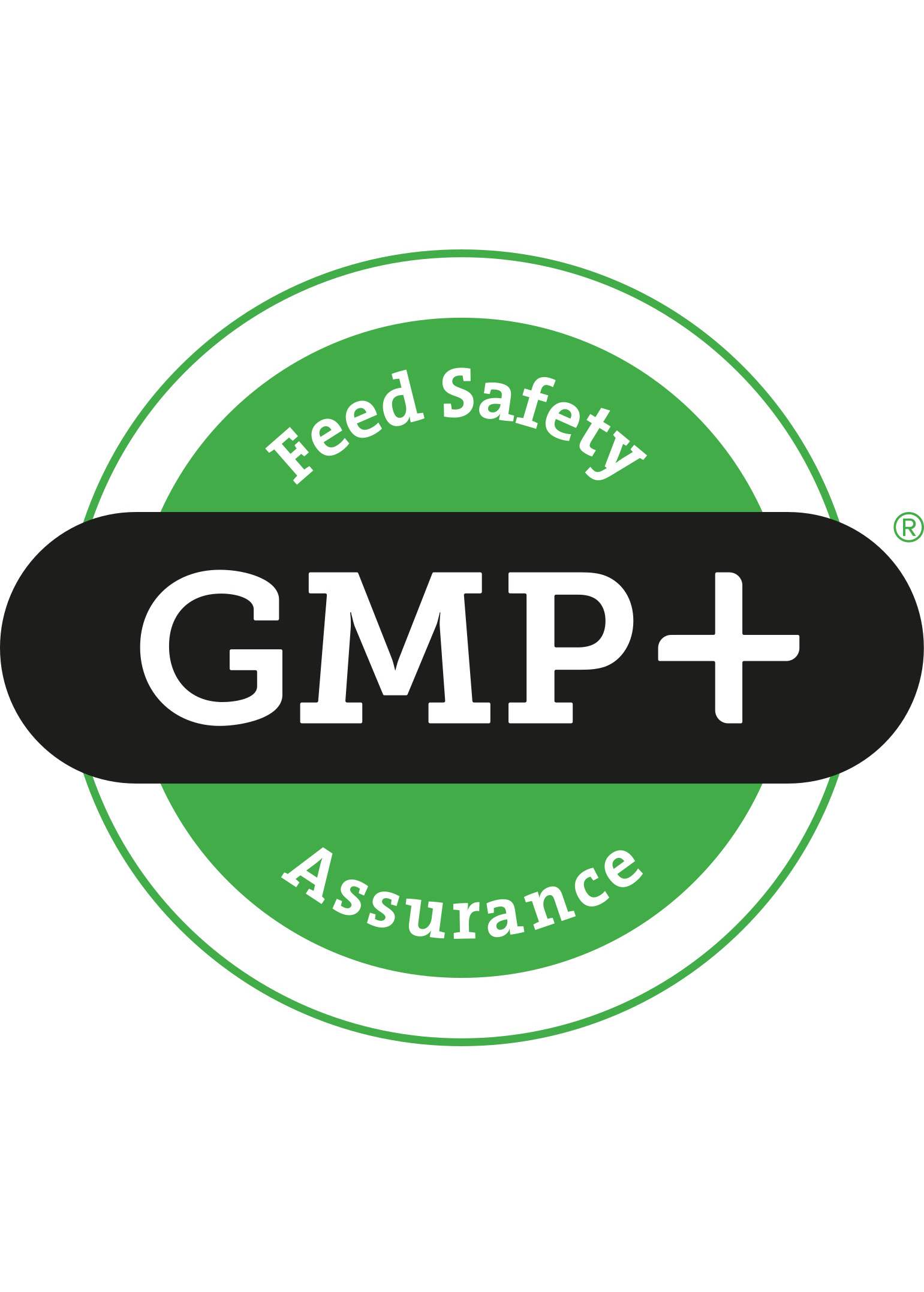 logo8