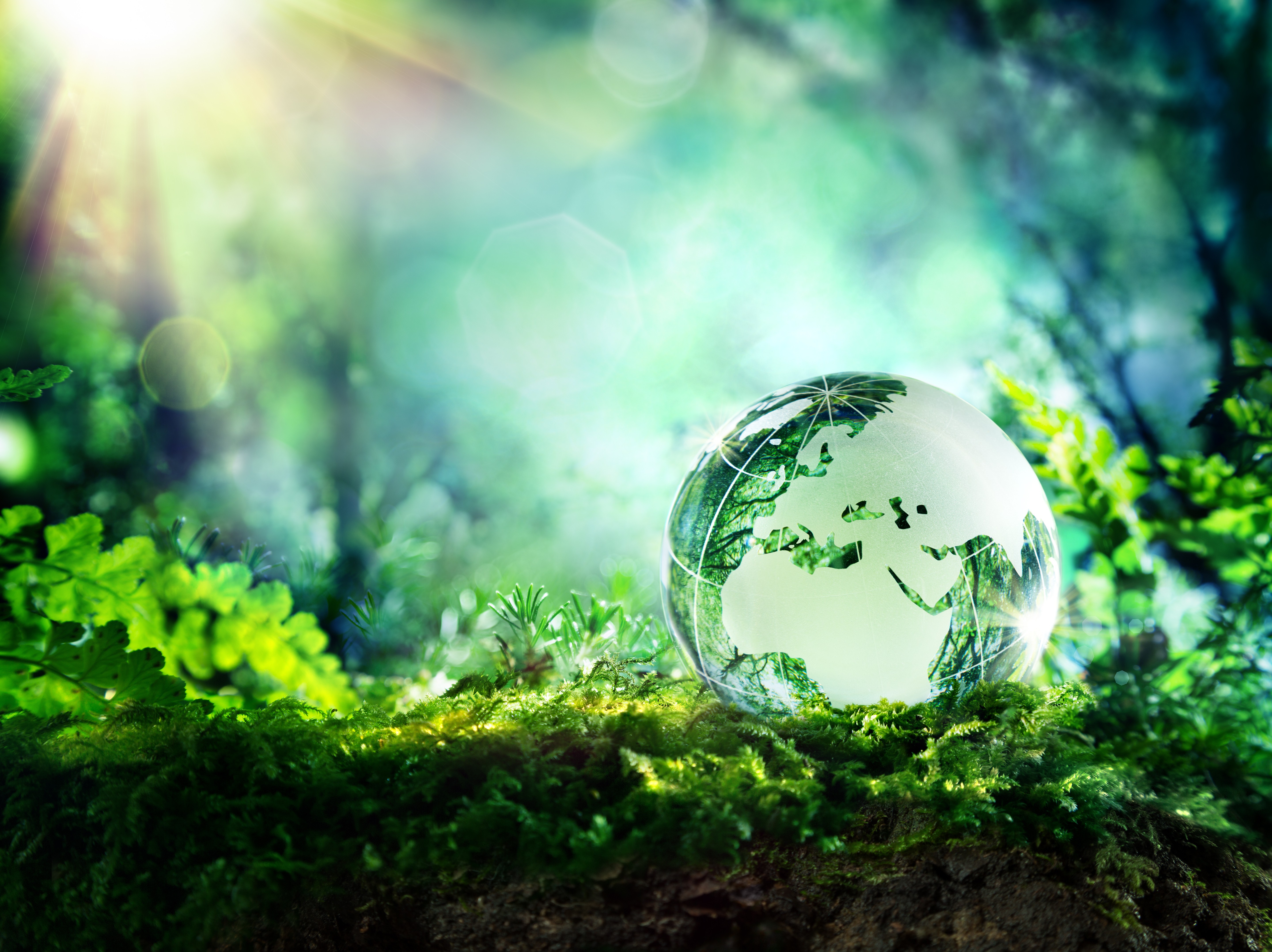 Carbon footprint - key environmental issue for humanity